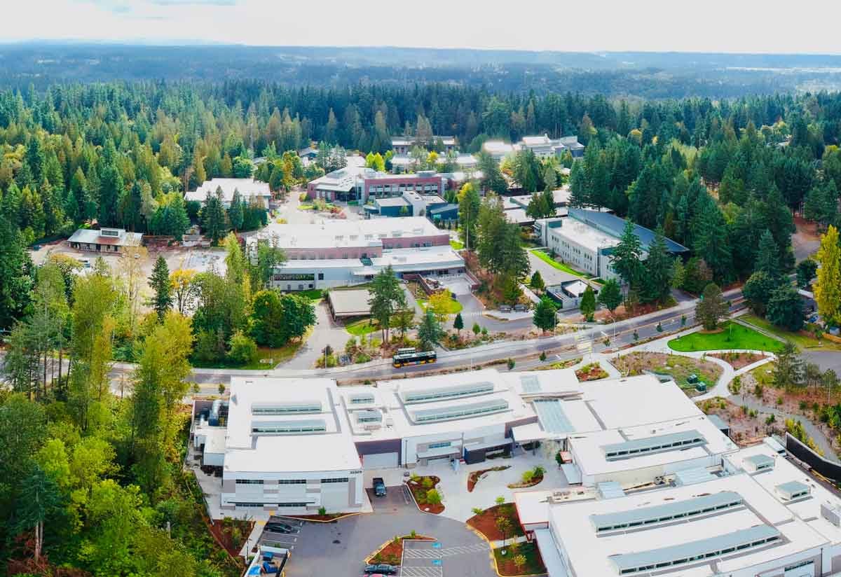 modern brick buildings surrounded by forest
